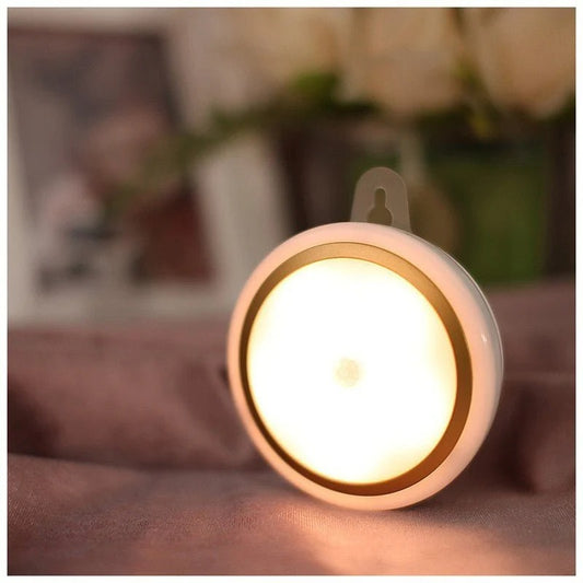Smart Motion Sensor Light